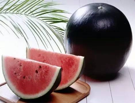 QSHBKTHSG02