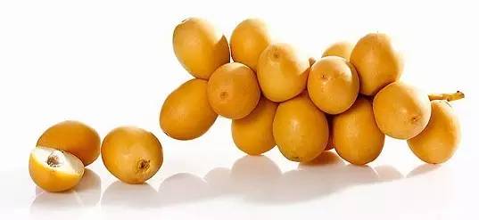 QSHBKTHSG07