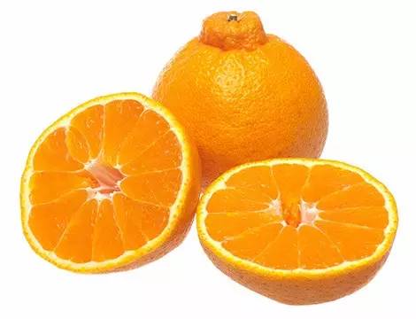 QSHBKTHSG19