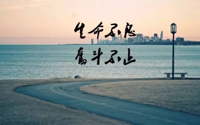 QPYQXSYSC05