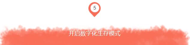 QPYQZZWT31