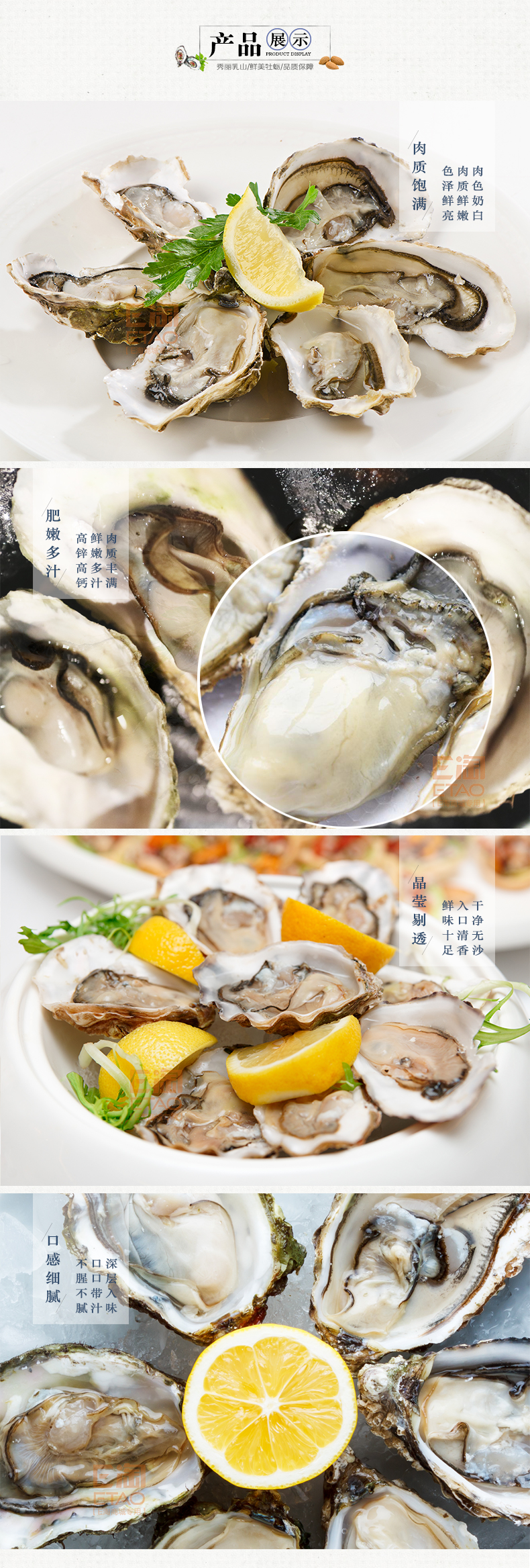 [E淘-特产]严选专供  —  乳山牡蛎 新品上架！