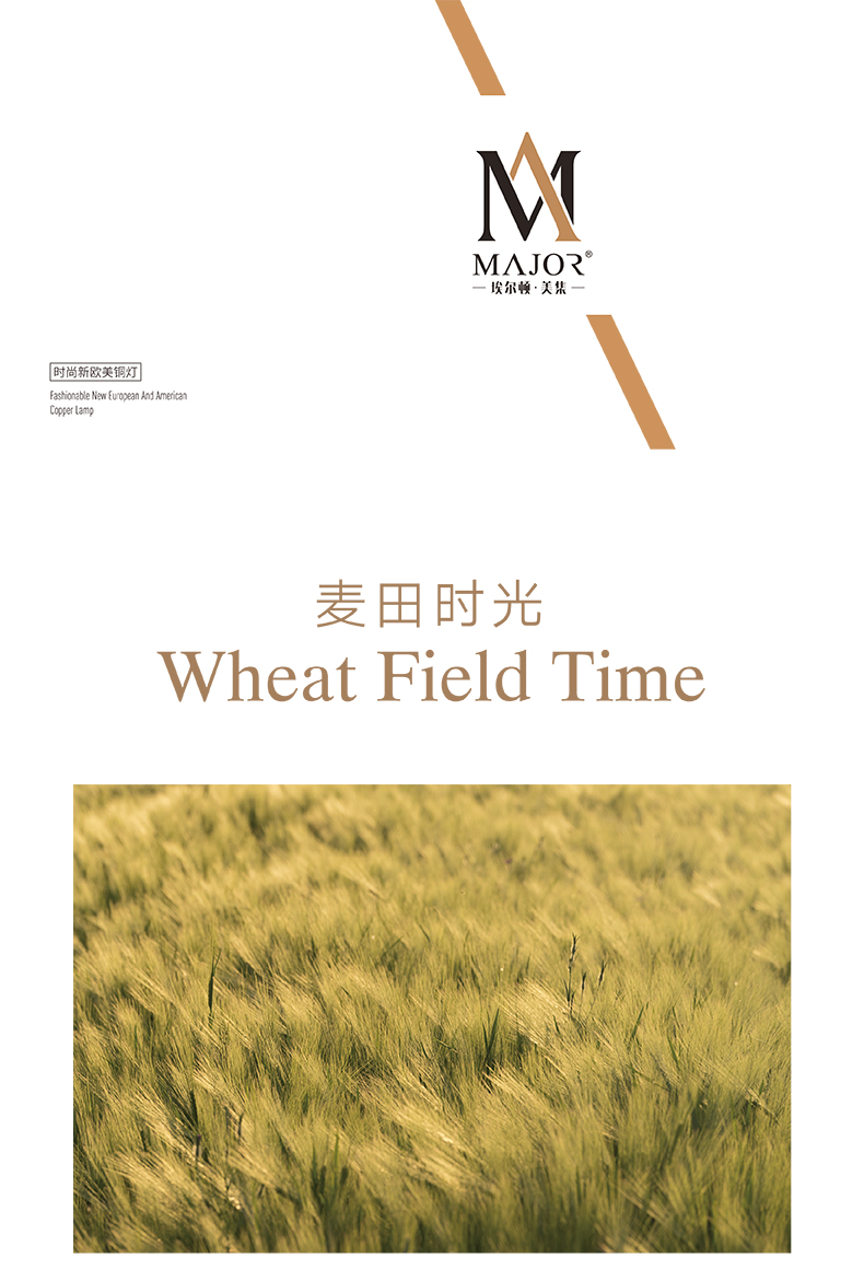 [E淘-灯饰]美式风格 — — 卡罗集 新品上架