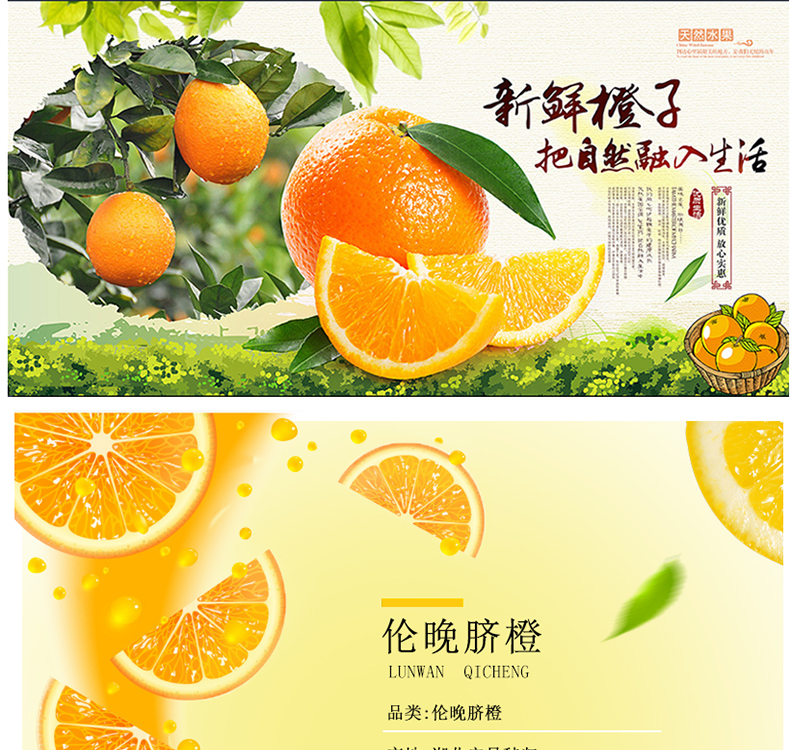 [E淘-特产]其它 — — 小陈家伦晚脐橙 品牌进驻！