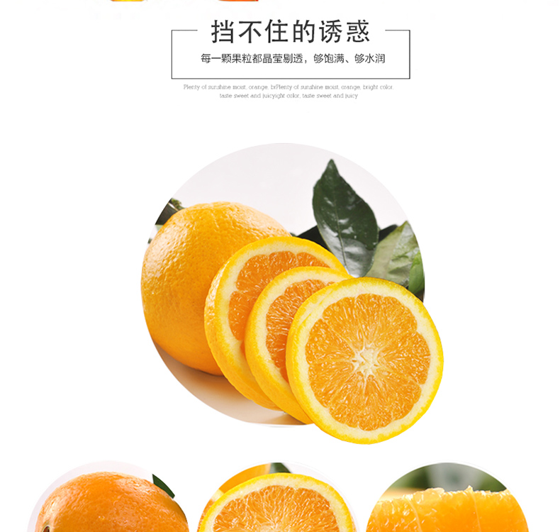 [E淘-特产]其它 — — 小陈家伦晚脐橙 品牌进驻！