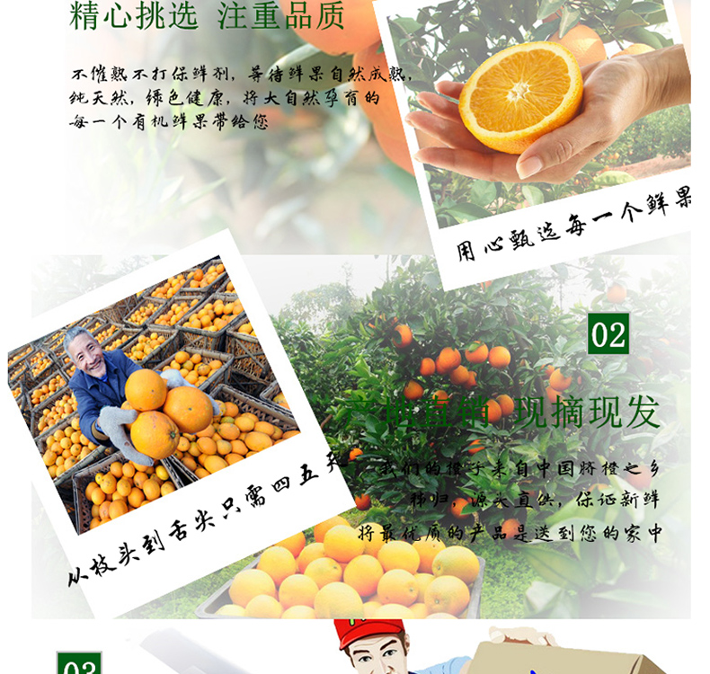 [E淘-特产]其它 — — 小陈家伦晚脐橙 品牌进驻！